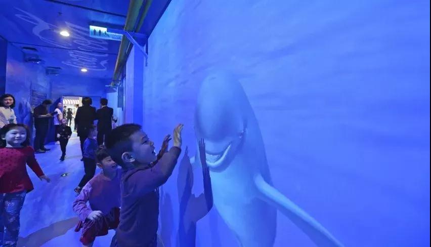 1568966693972518.jpg 1568966693972518.jpg