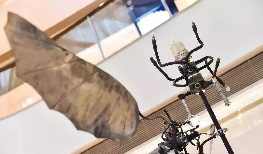 1571735595313443.jpg 1571735595313443.jpg