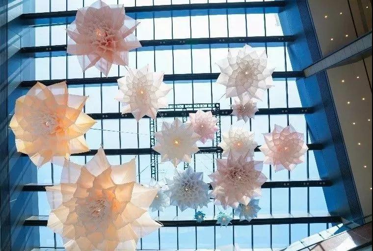 1571735718417193.jpg 1571735718417193.jpg