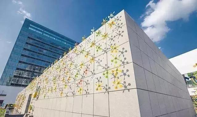 1571735820545858.jpg 1571735820545858.jpg